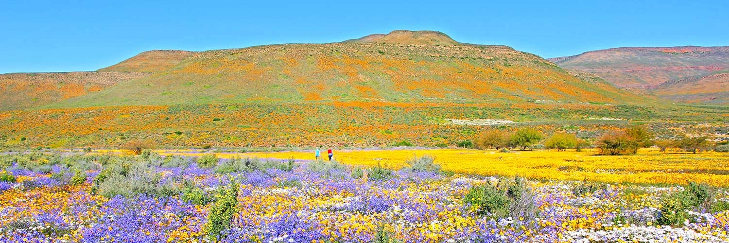 Northern Cape – Delmar World – Talk Travel